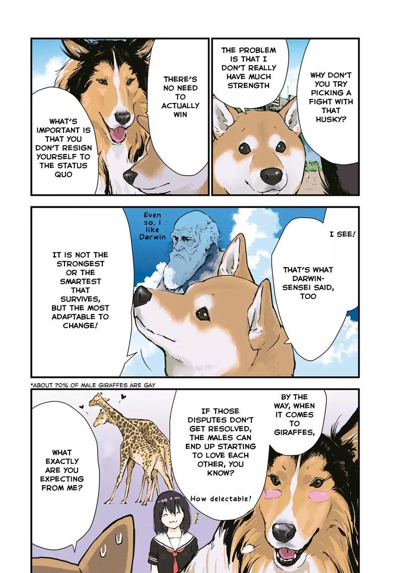 Sekai No Owari Ni Shiba Inu To 26 6