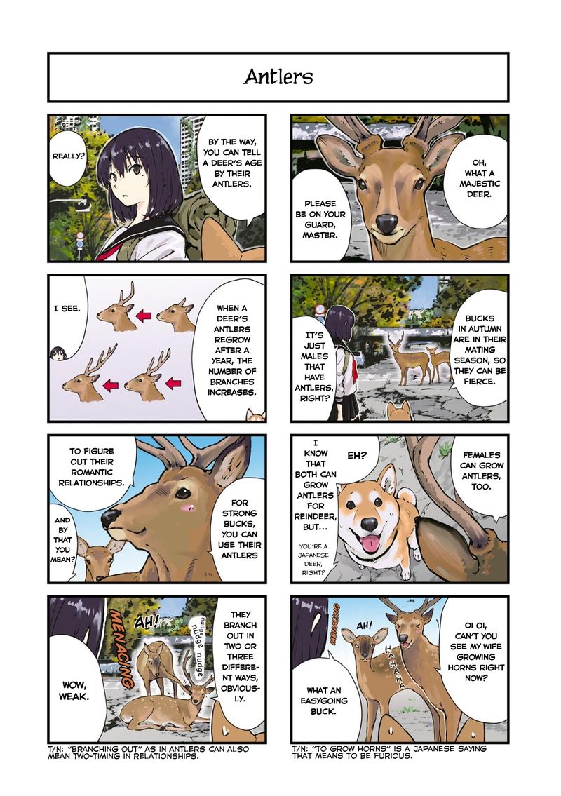 Sekai No Owari Ni Shiba Inu To 28 2