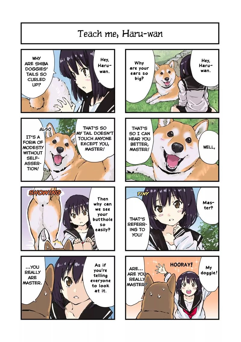 Sekai No Owari Ni Shiba Inu To 29 4