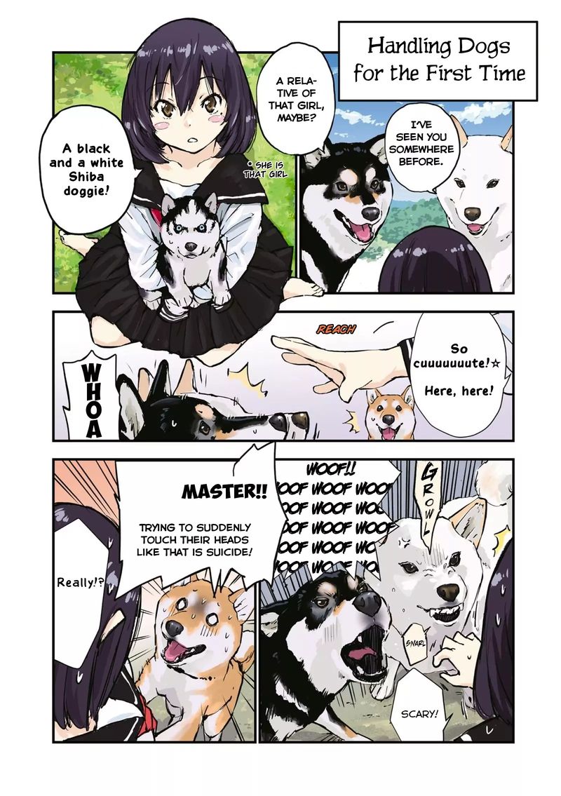 Sekai No Owari Ni Shiba Inu To 29 5