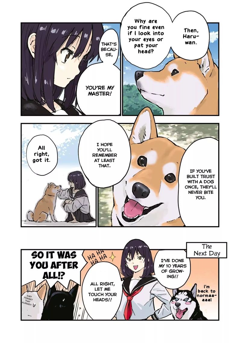 Sekai No Owari Ni Shiba Inu To 29 8