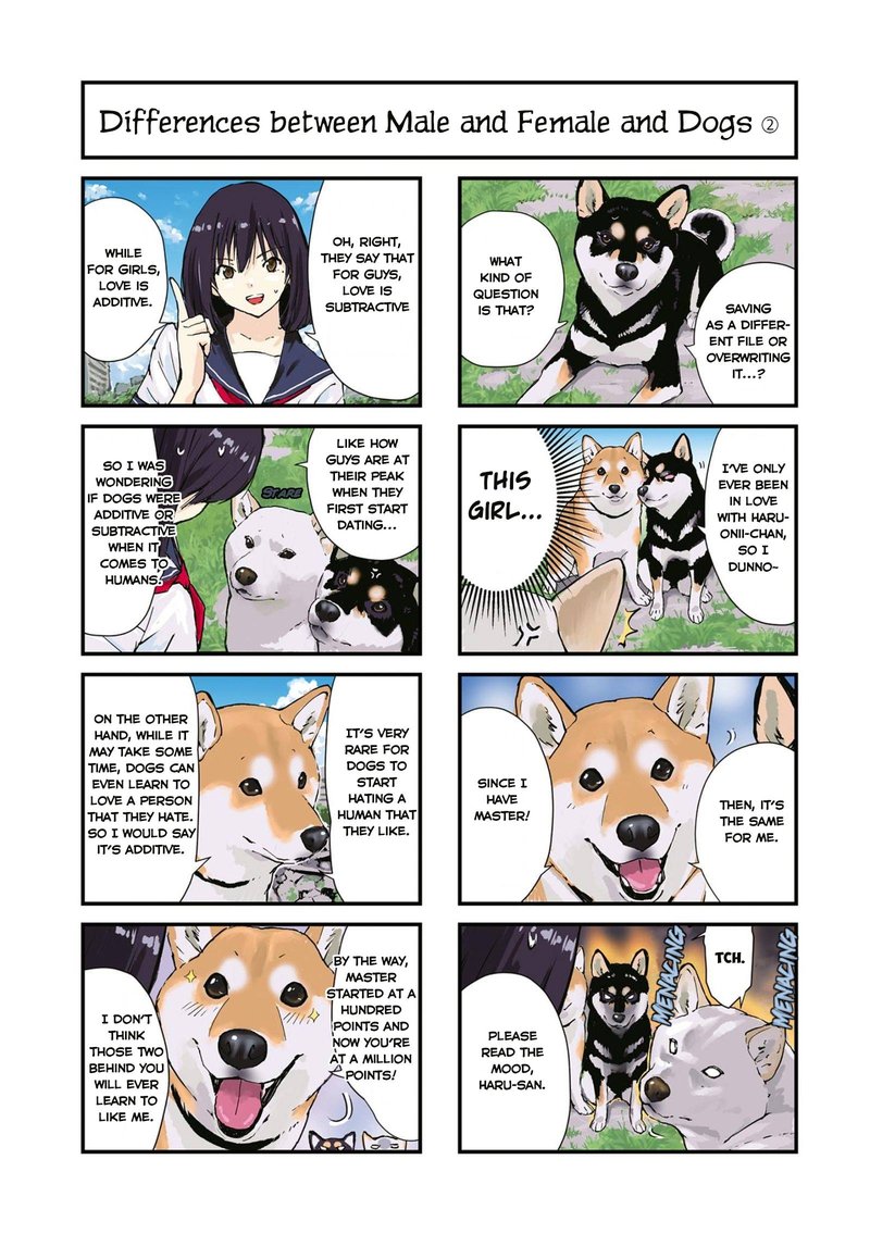 Sekai No Owari Ni Shiba Inu To 33 3