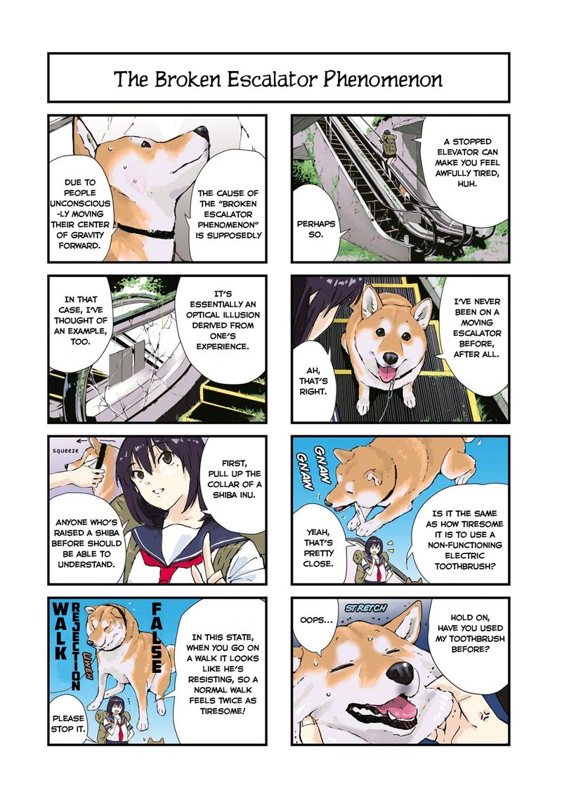 Sekai No Owari Ni Shiba Inu To 33 4