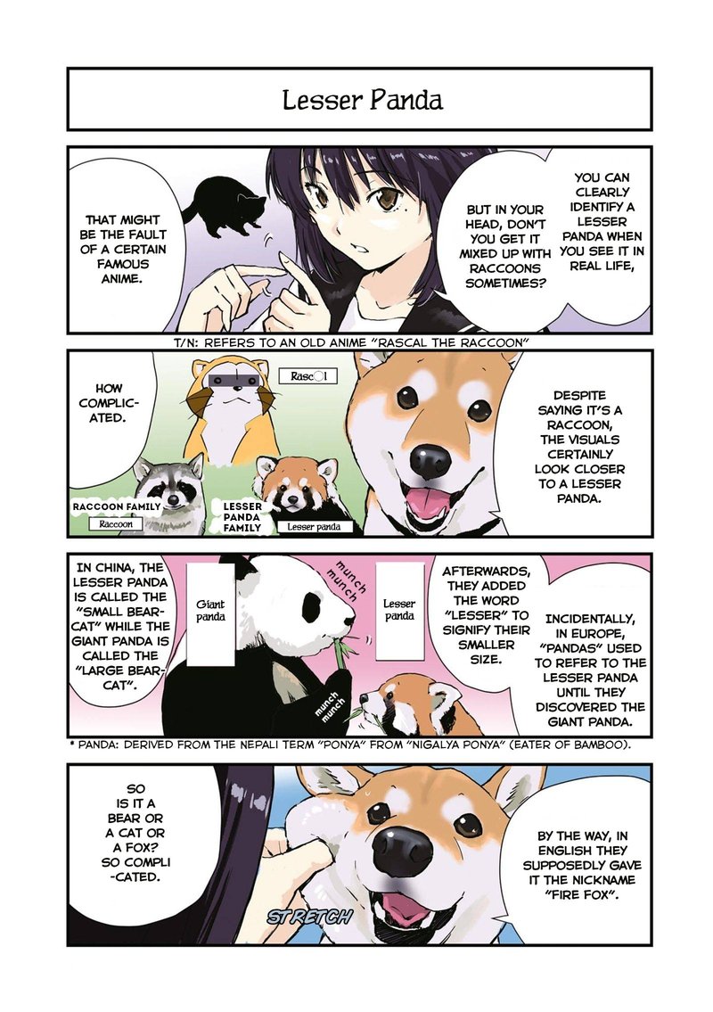 Sekai No Owari Ni Shiba Inu To 33 5