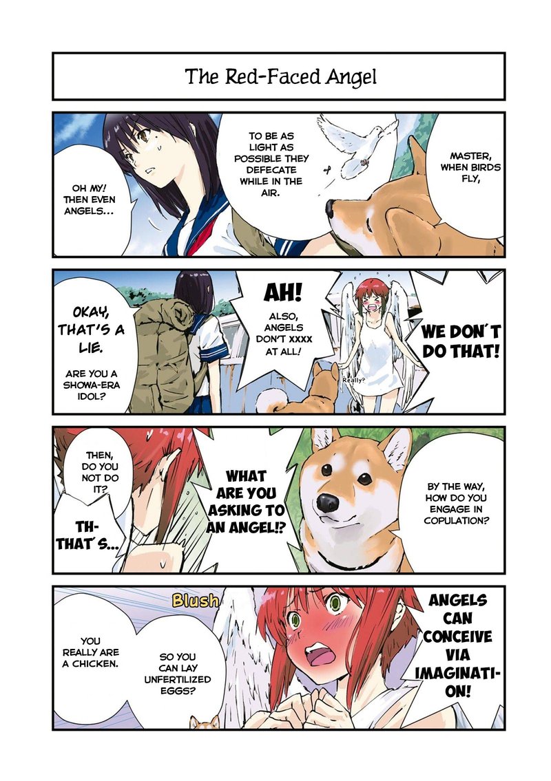 Sekai No Owari Ni Shiba Inu To 34 5
