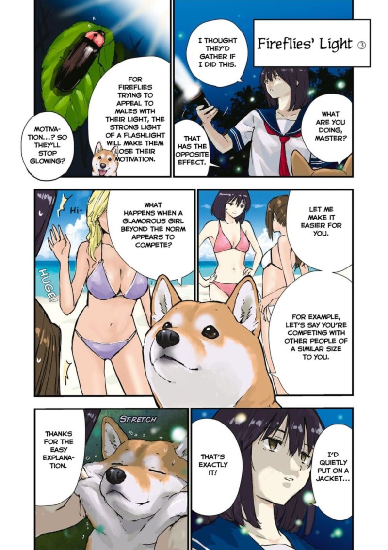 Sekai No Owari Ni Shiba Inu To 35 10