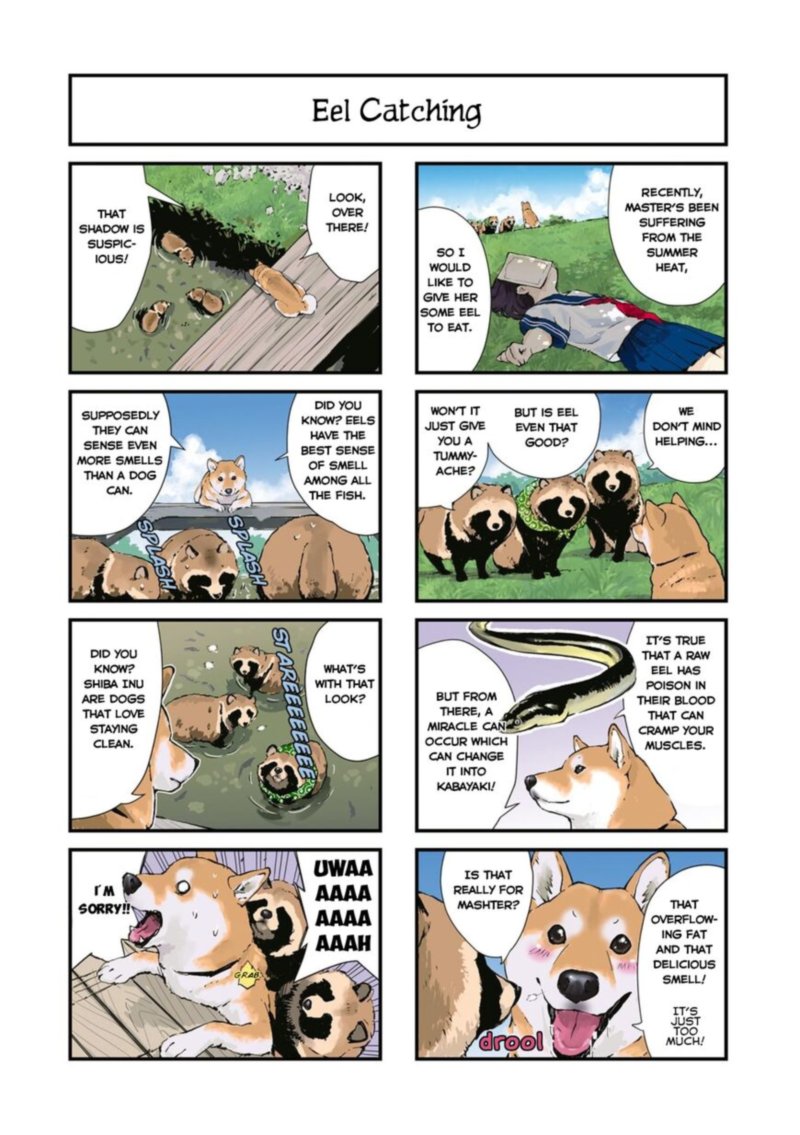 Sekai No Owari Ni Shiba Inu To 35 2