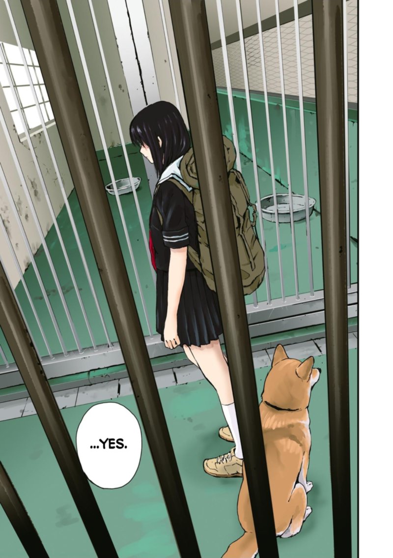 Sekai No Owari Ni Shiba Inu To 35 30