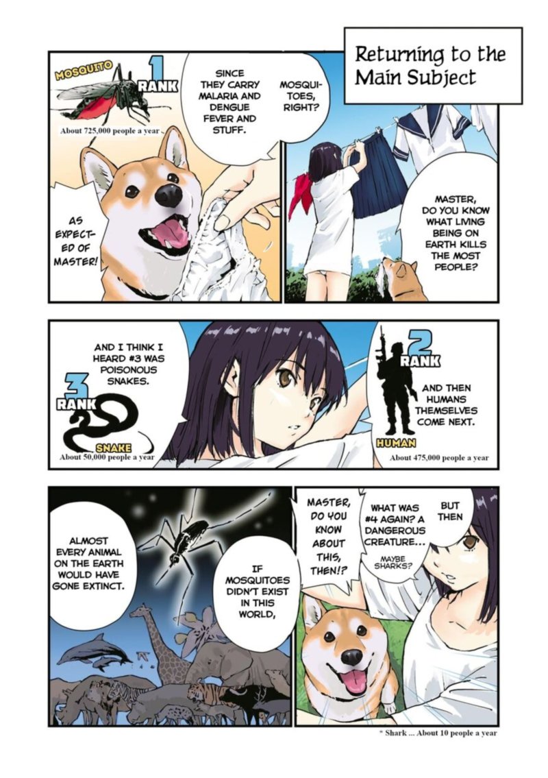 Sekai No Owari Ni Shiba Inu To 35 4
