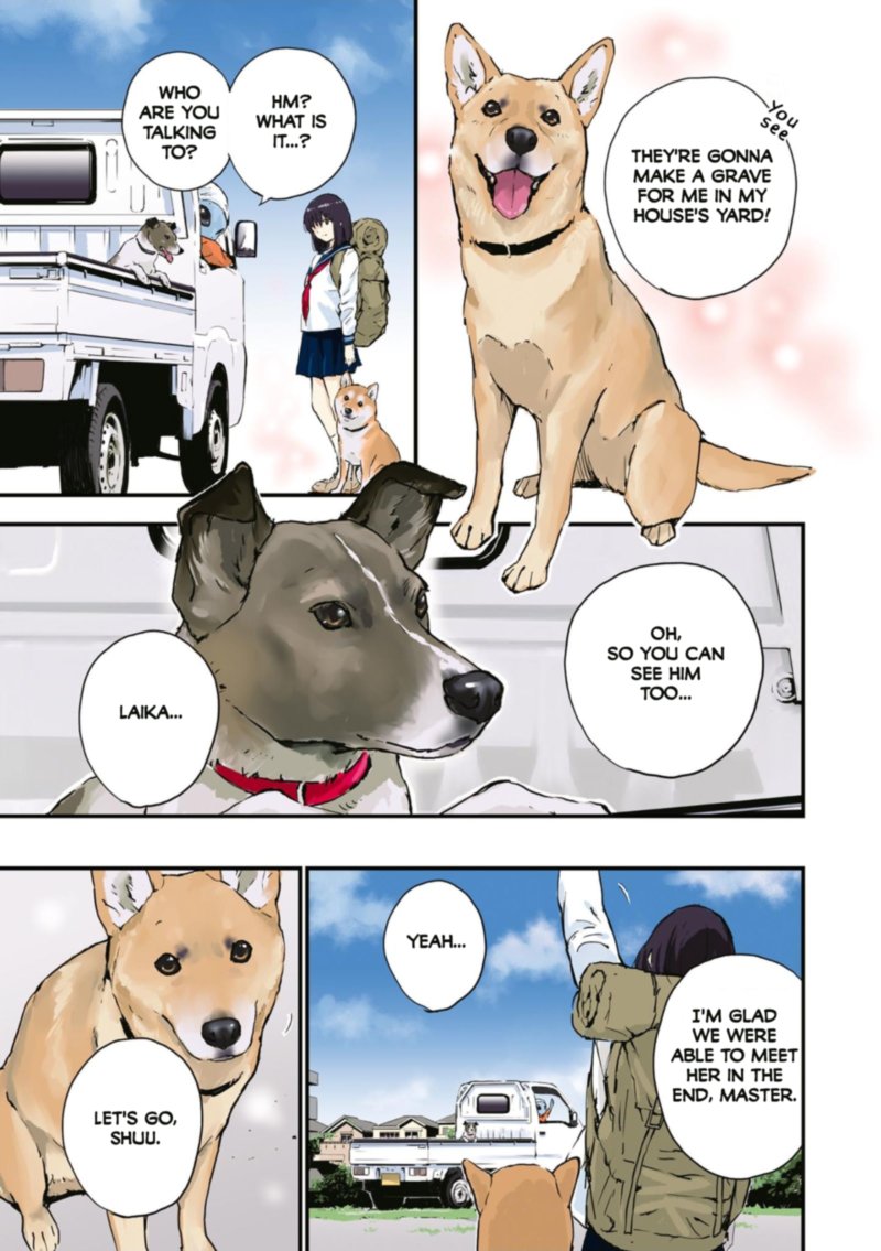 Sekai No Owari Ni Shiba Inu To 35 42