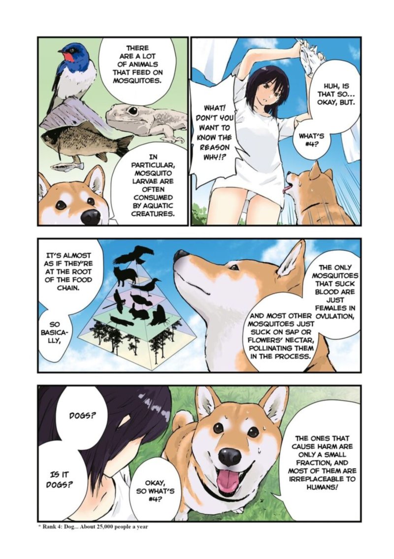 Sekai No Owari Ni Shiba Inu To 35 5