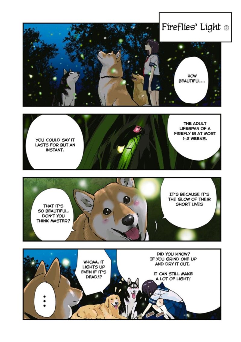 Sekai No Owari Ni Shiba Inu To 35 9