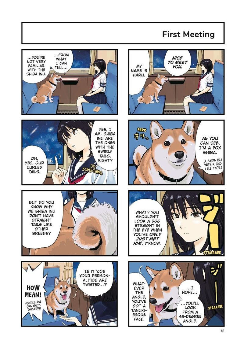 Sekai No Owari Ni Shiba Inu To 39 2