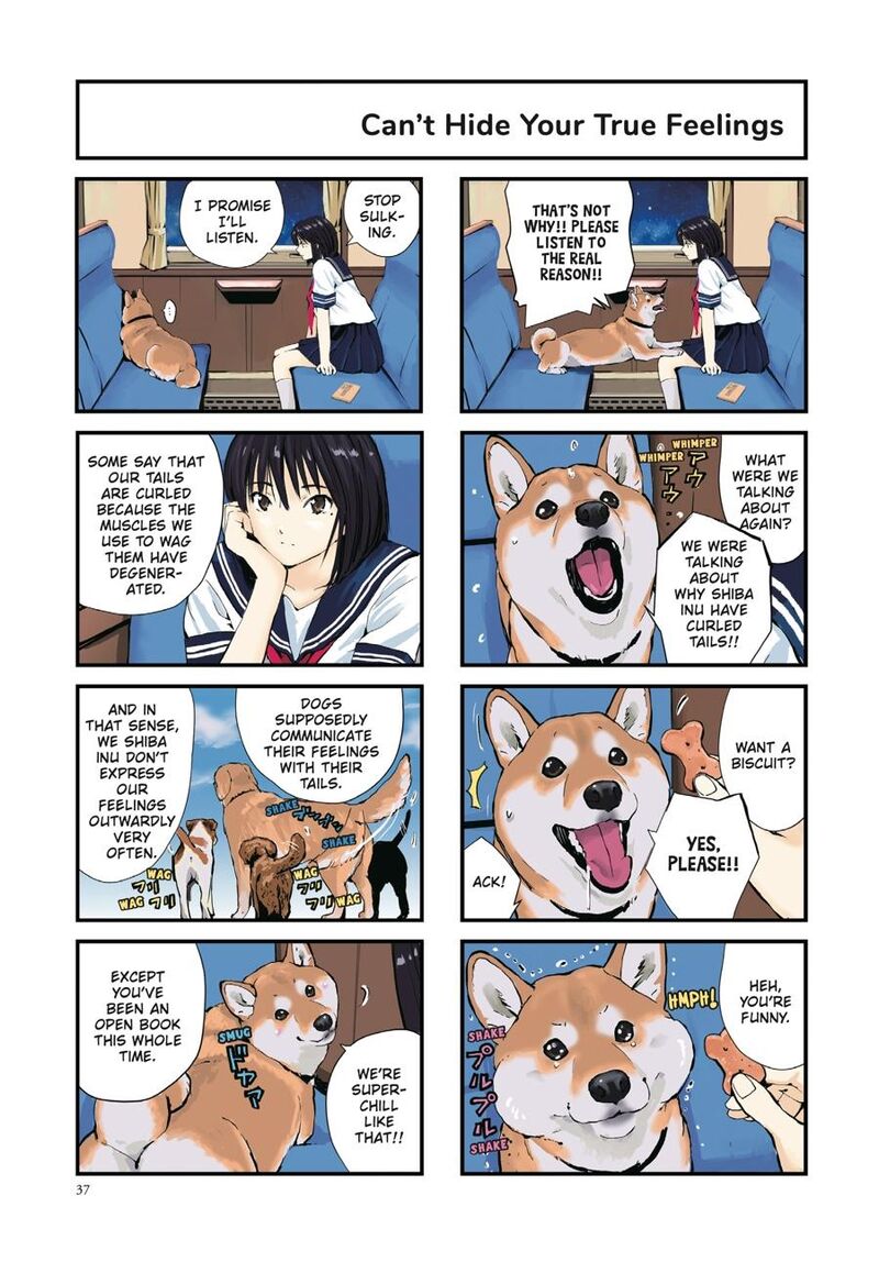 Sekai No Owari Ni Shiba Inu To 39 3