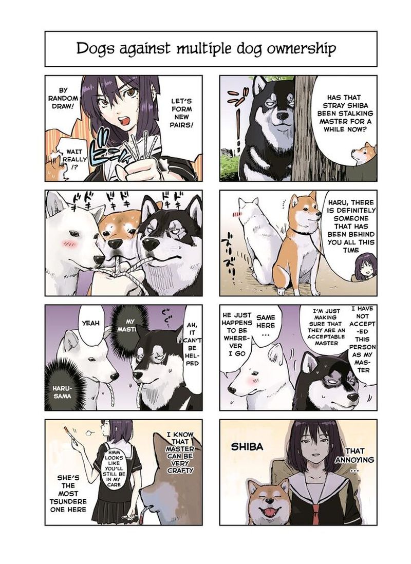 Sekai No Owari Ni Shiba Inu To 4 5