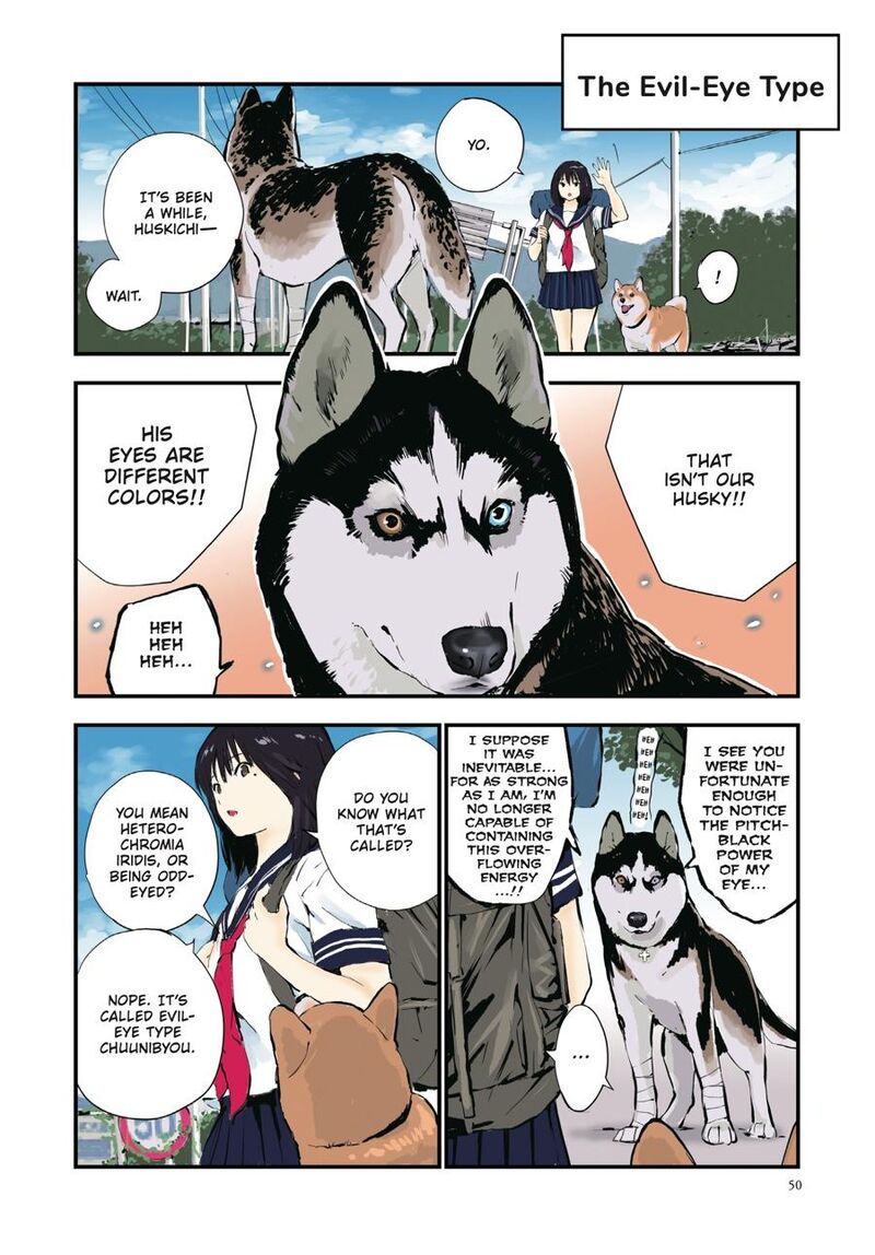 Sekai No Owari Ni Shiba Inu To 40 4