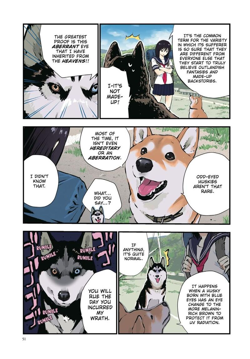 Sekai No Owari Ni Shiba Inu To 40 5