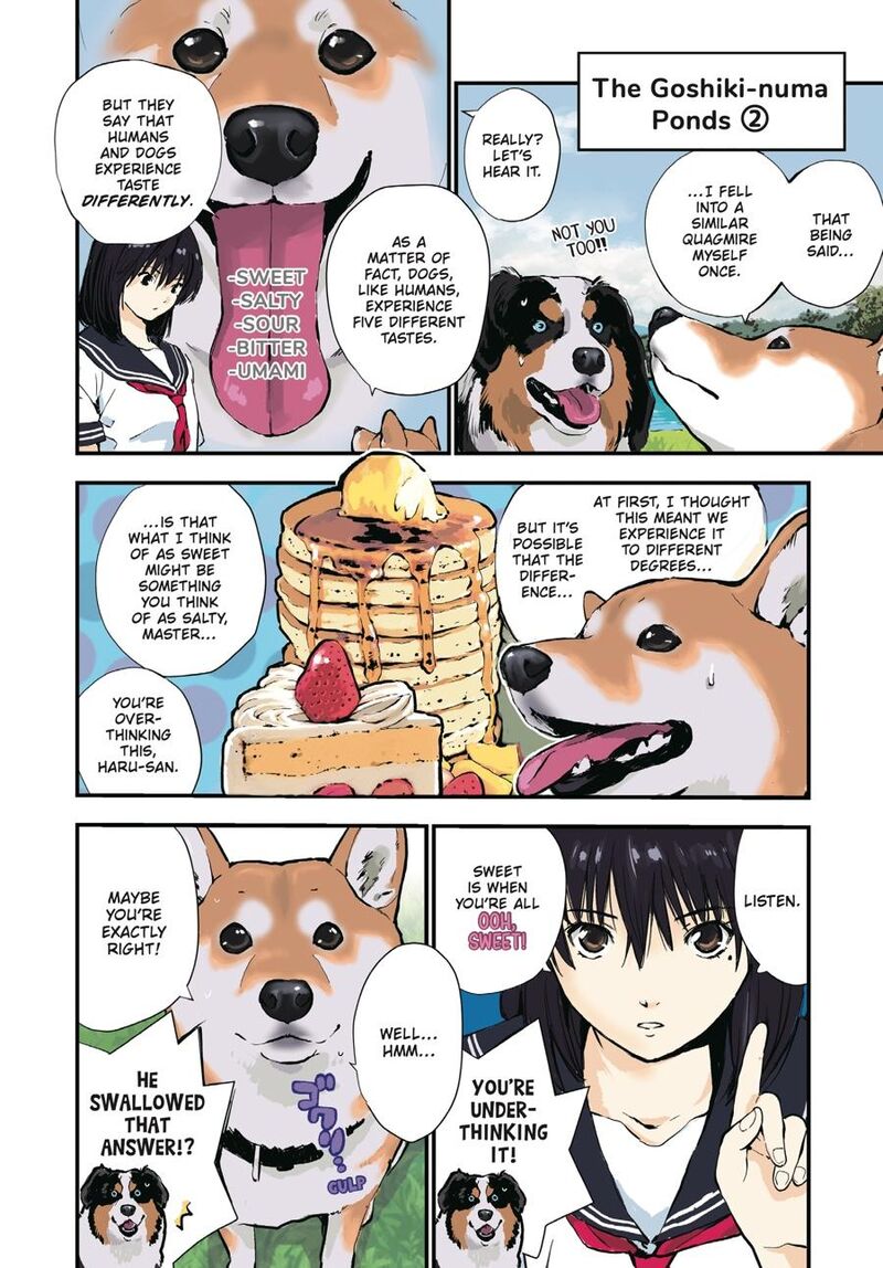 Sekai No Owari Ni Shiba Inu To 42 8
