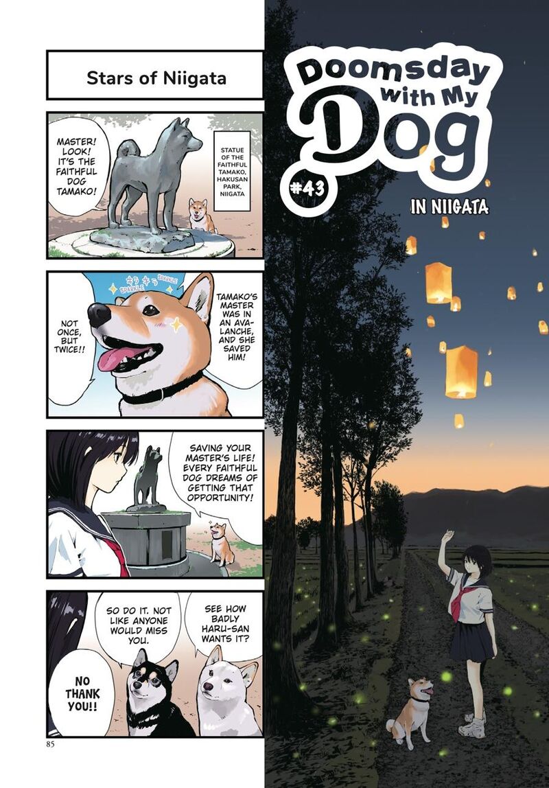 Sekai No Owari Ni Shiba Inu To 43 1