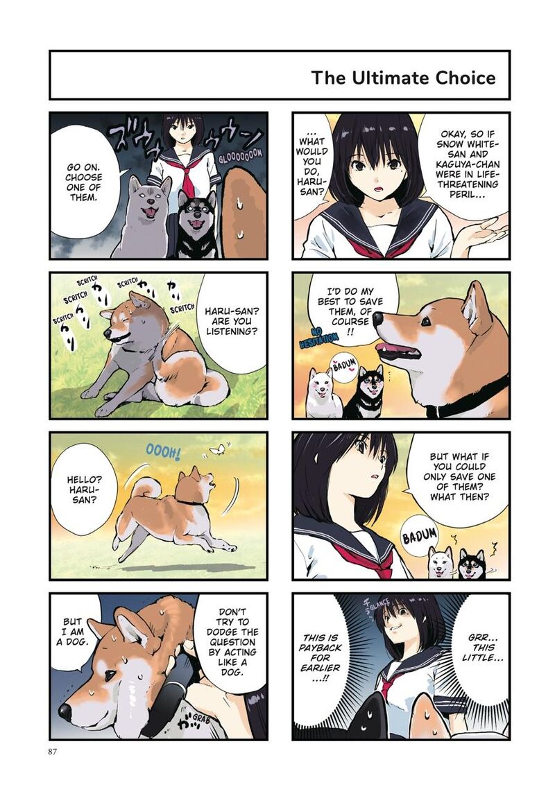 Sekai No Owari Ni Shiba Inu To 43 3