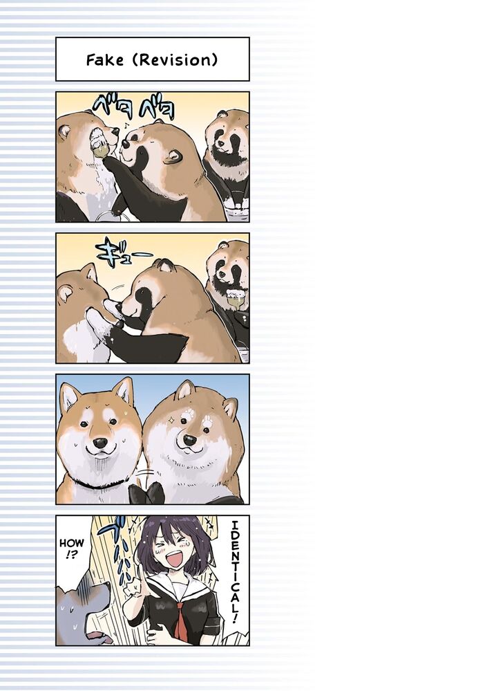 Sekai No Owari Ni Shiba Inu To 7 7