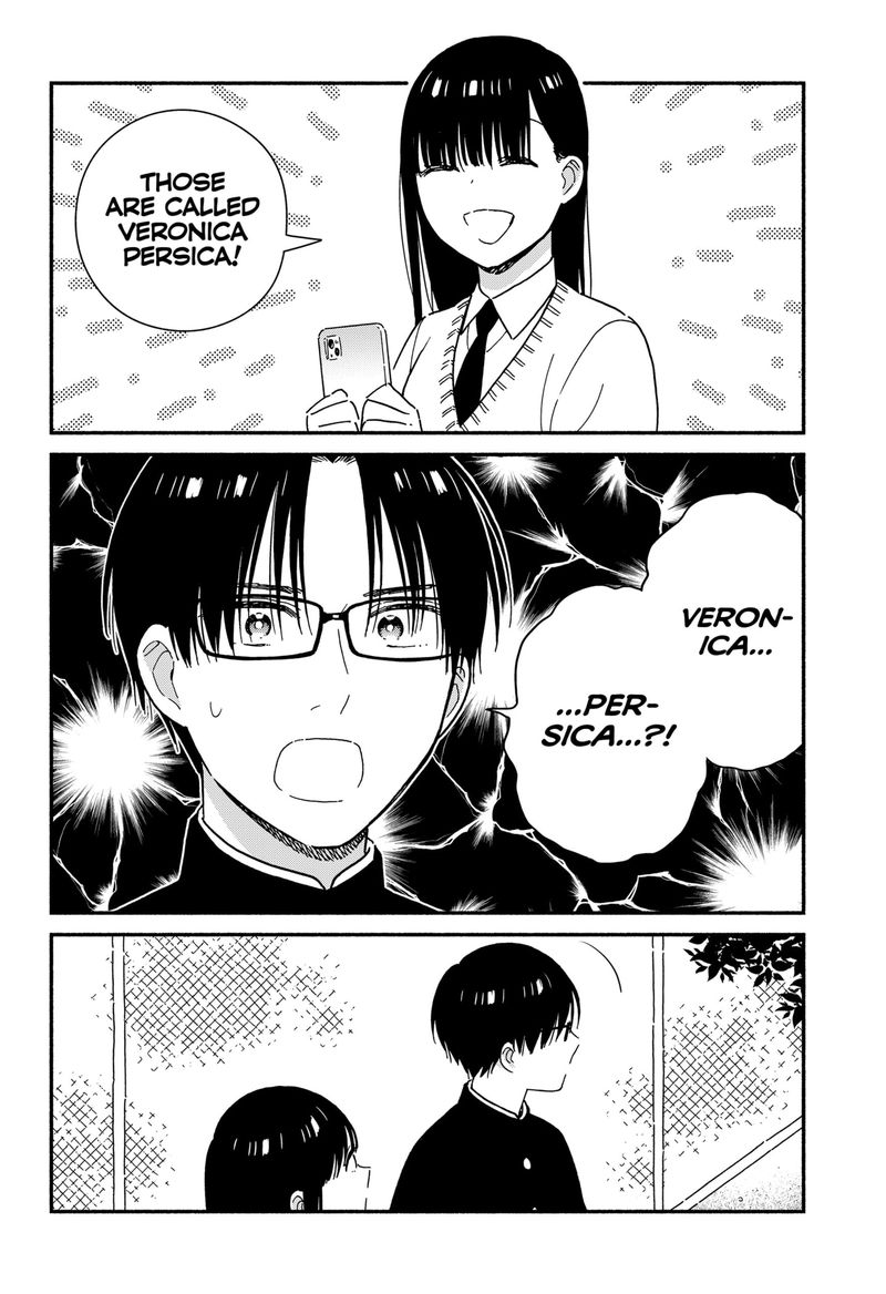 Sekimen Shinaide Sekime San 34 8