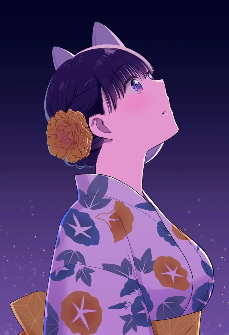 Sekimen Shinaide Sekime San 43a 8