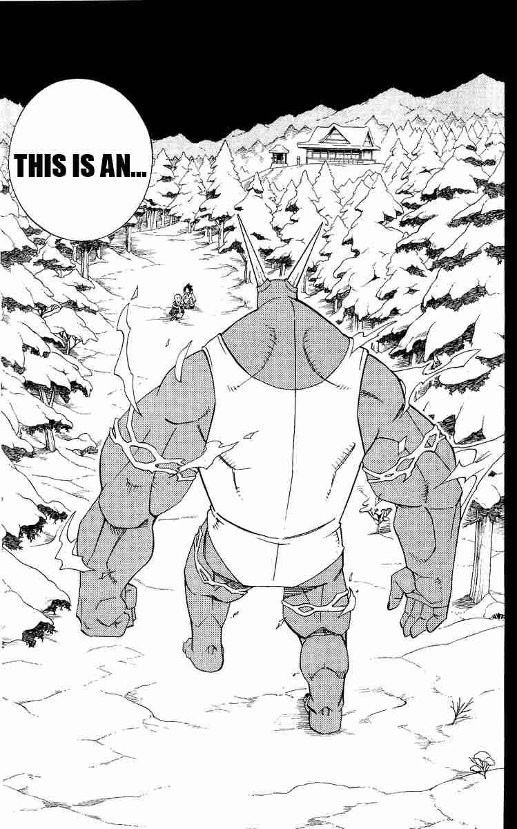 Shaman King 172 3