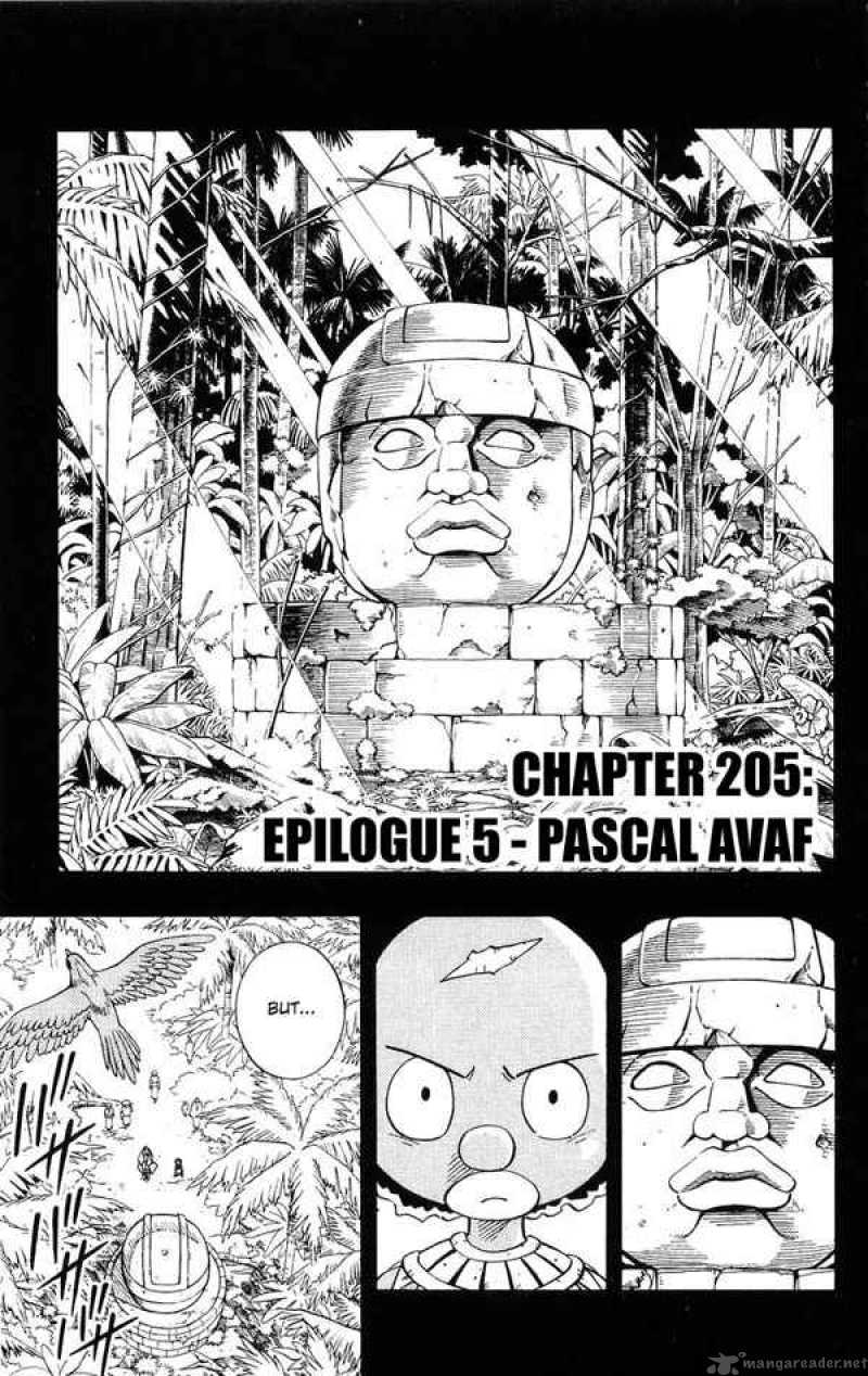 Shaman King 205 3