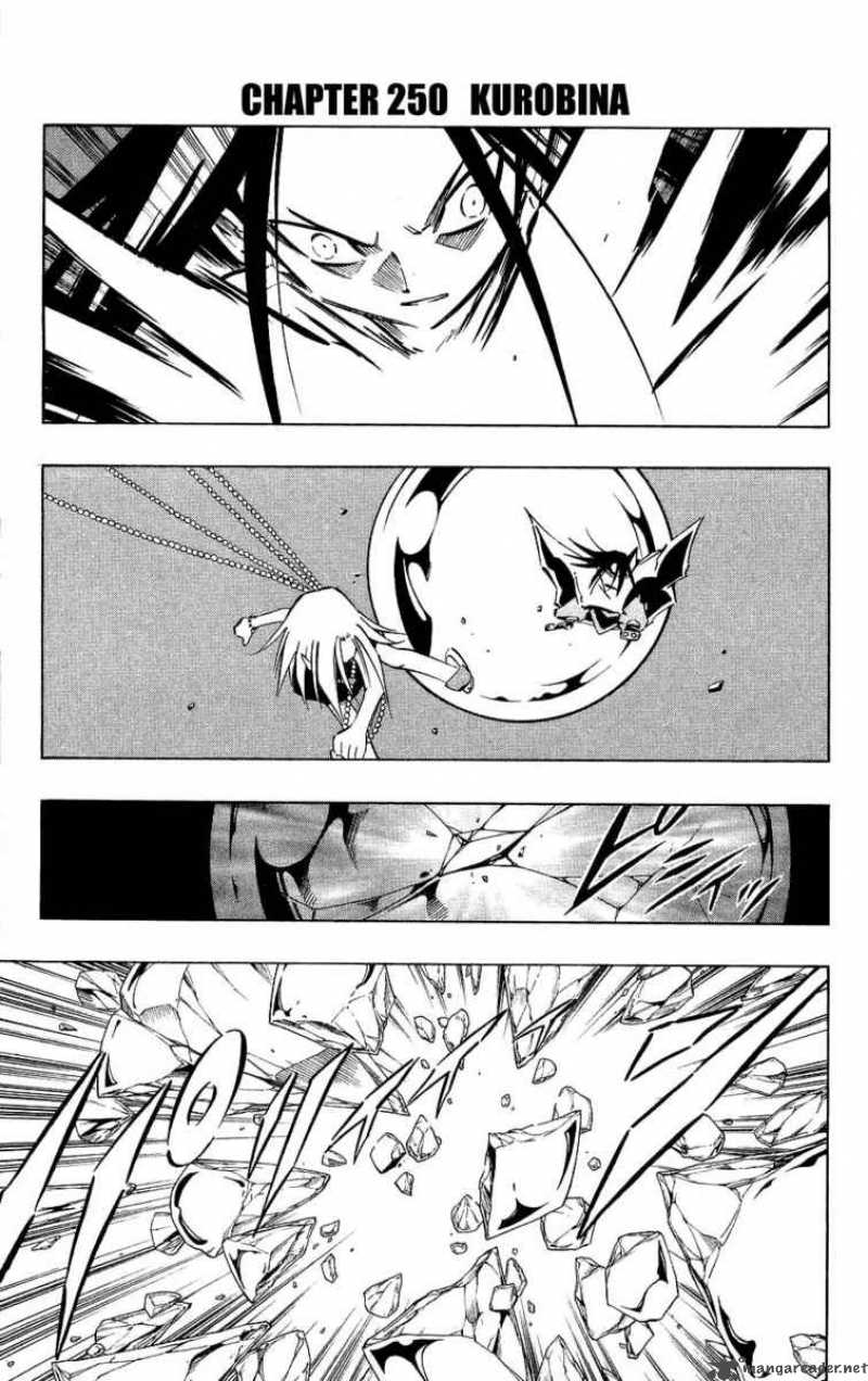 Shaman King 250 1