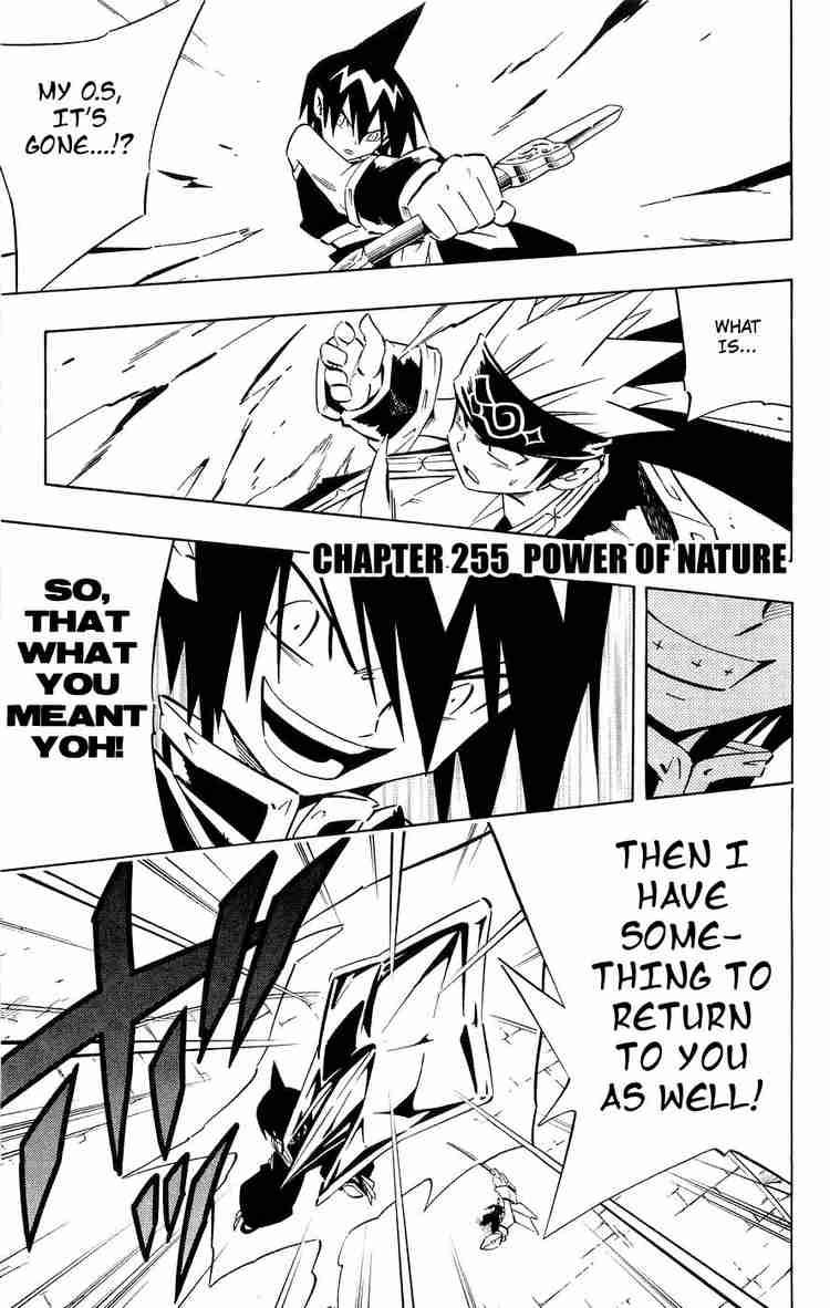 Shaman King 255 1