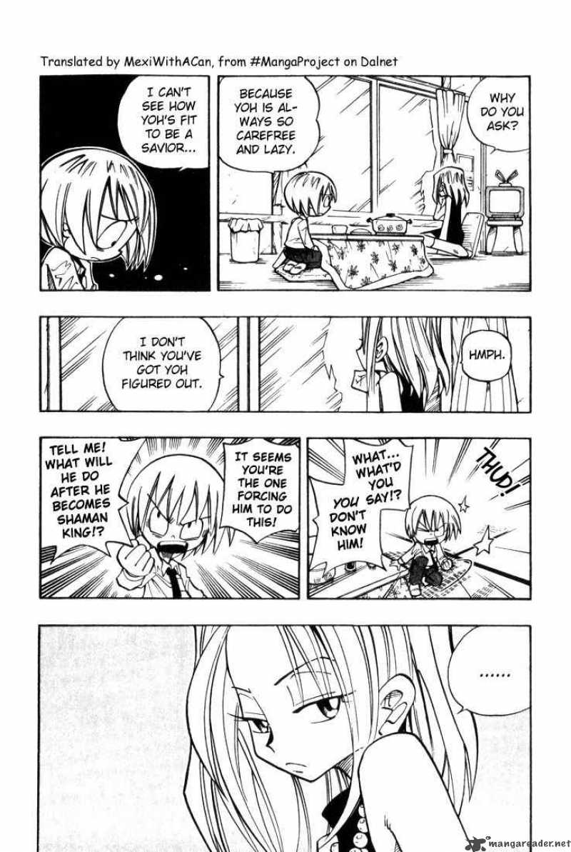 Shaman King 30 12