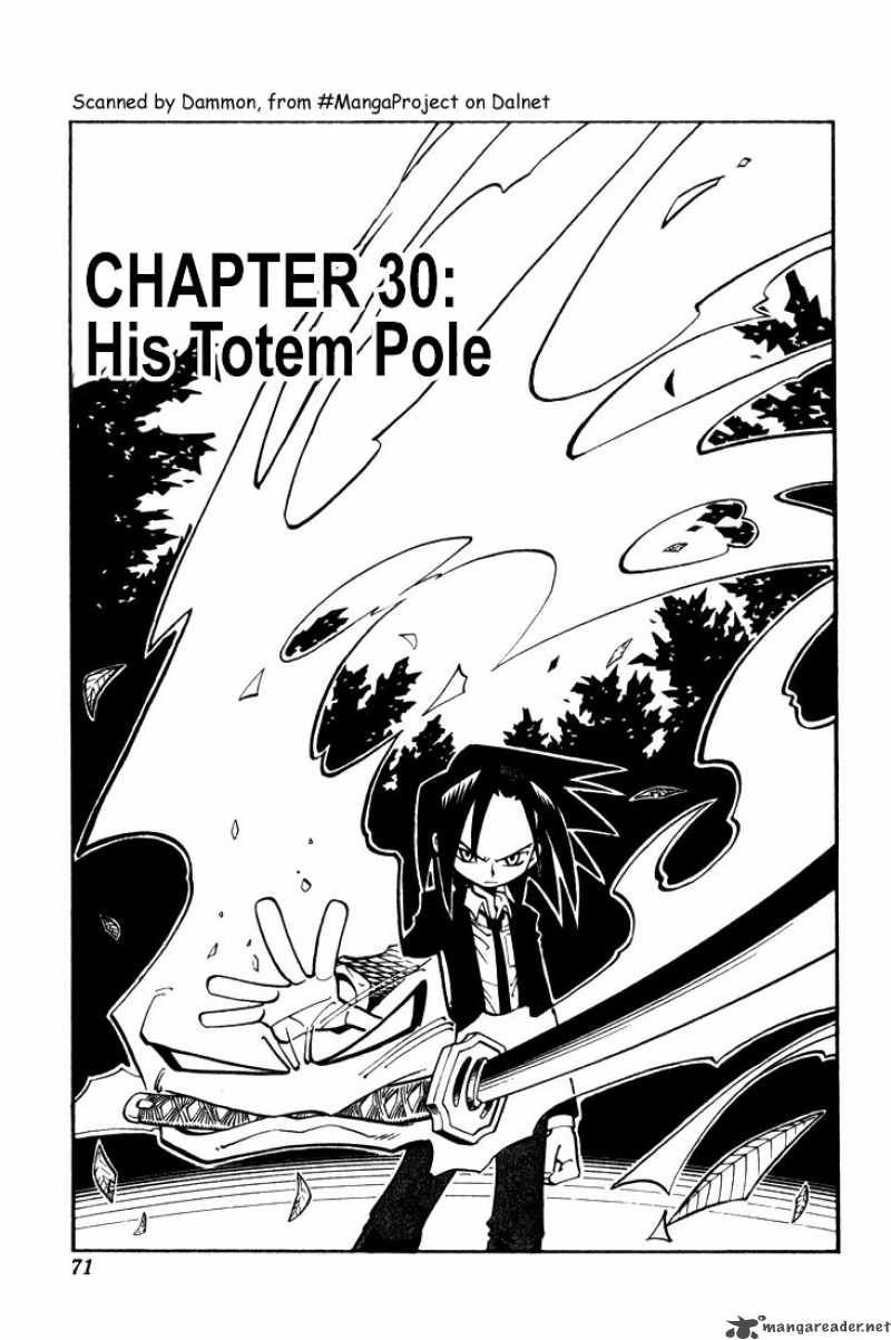 Shaman King 30 3