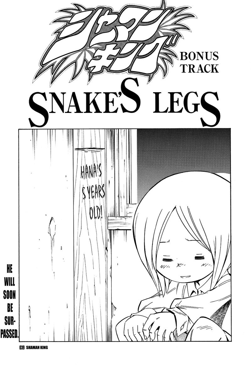 Shaman King 300a 3