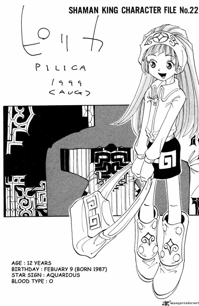 Shaman King 40 20