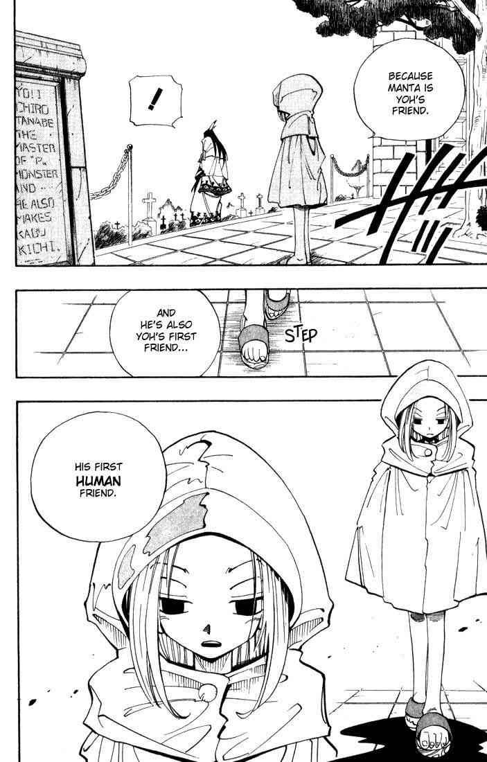 Shaman King 43 8