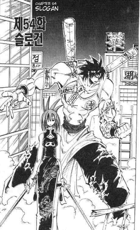 Shaman King 54 3