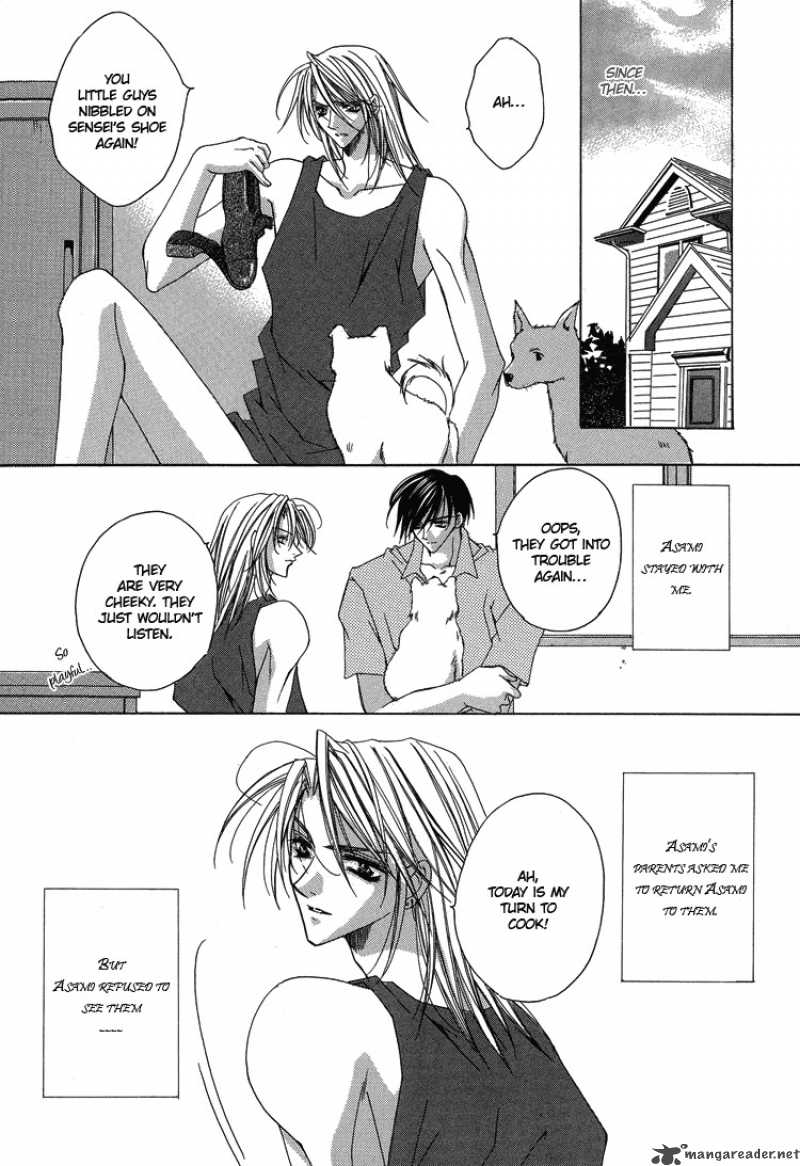 Shiawase Cook 3 37