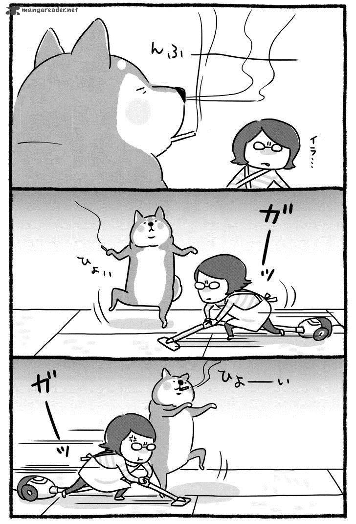 Shiba Occhan 1 3