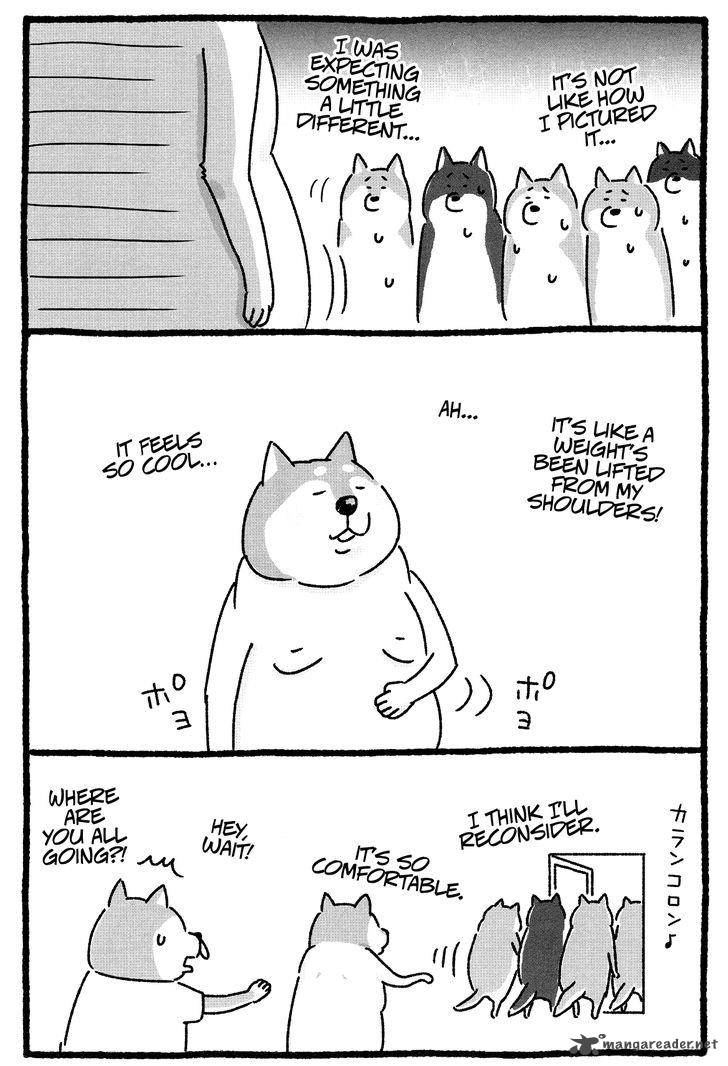 Shiba Occhan 10 7