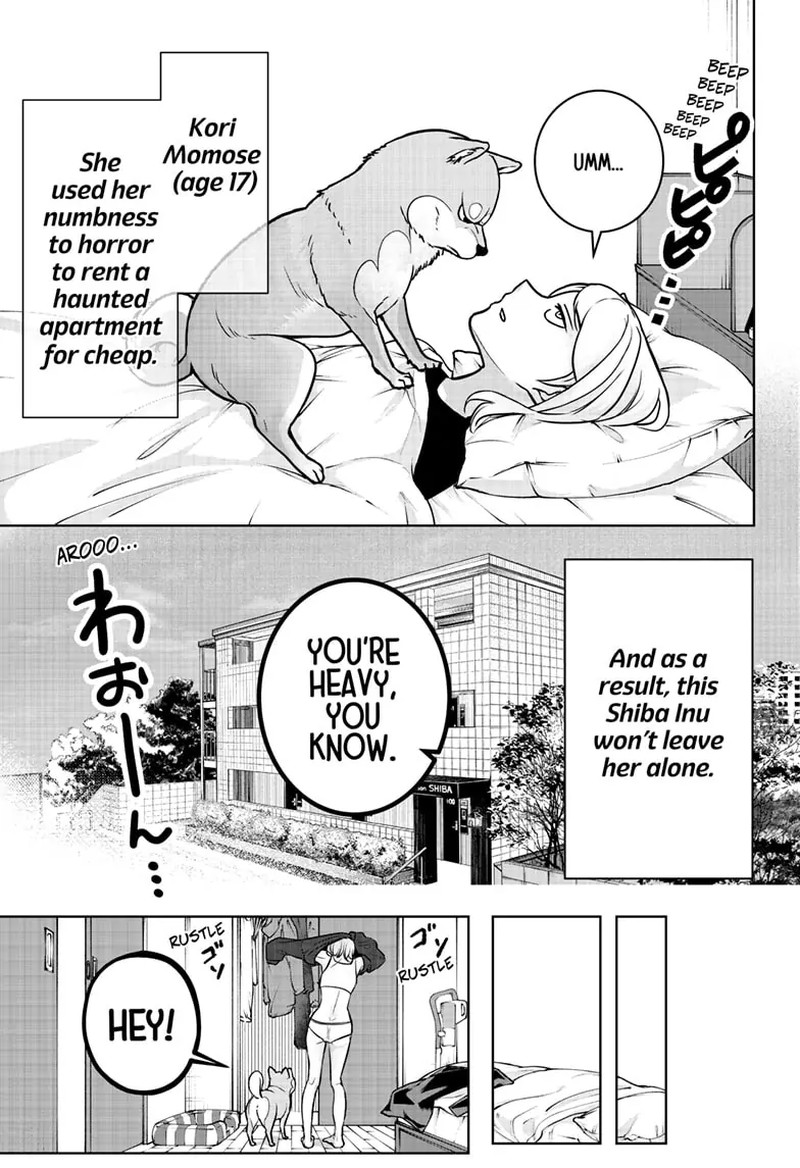Shiba Tsuki Bukken 2 4