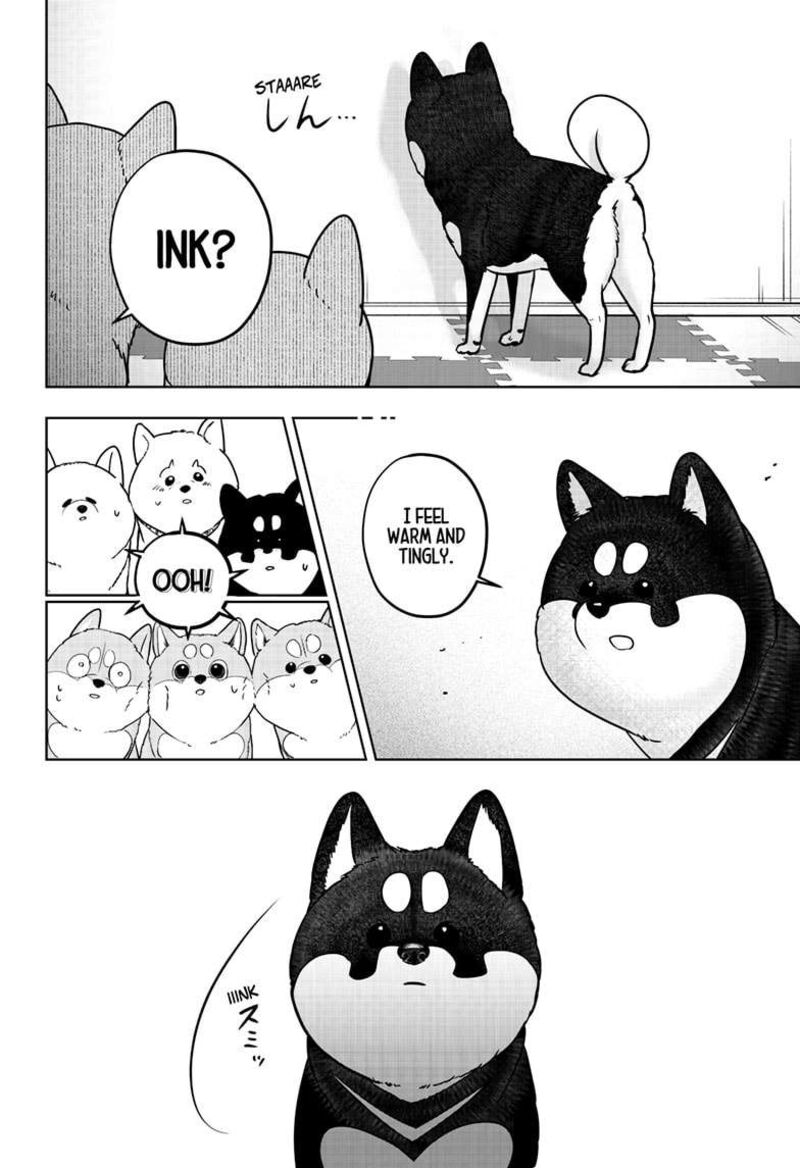 Shiba Tsuki Bukken 22 6