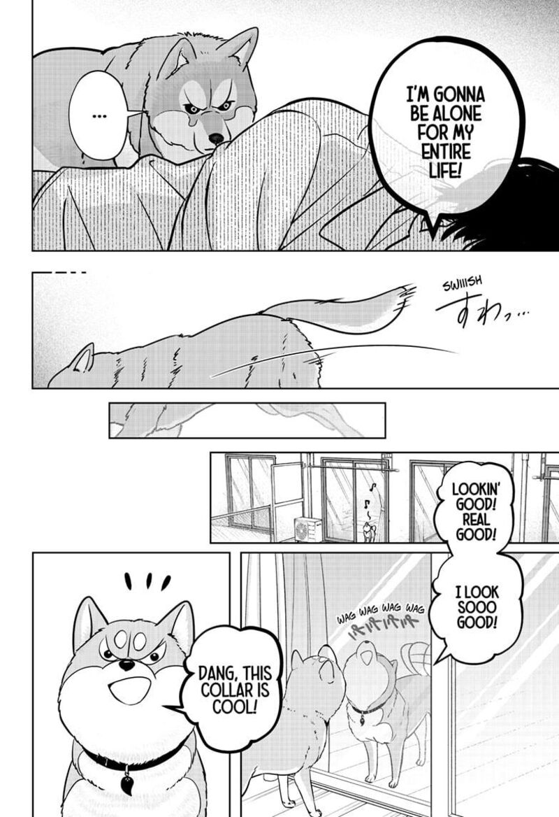 Shiba Tsuki Bukken 23 13