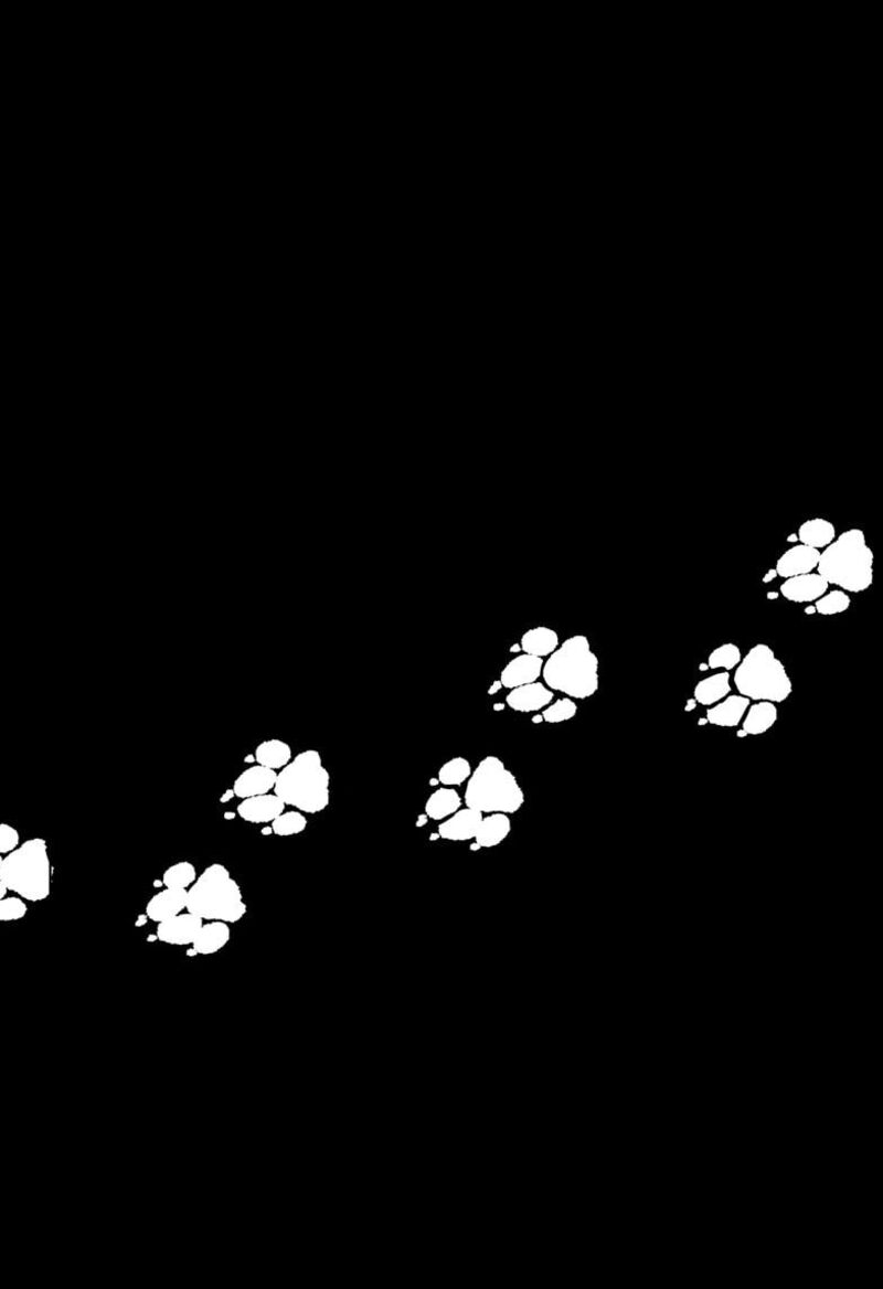 Shiba Tsuki Bukken 23 34