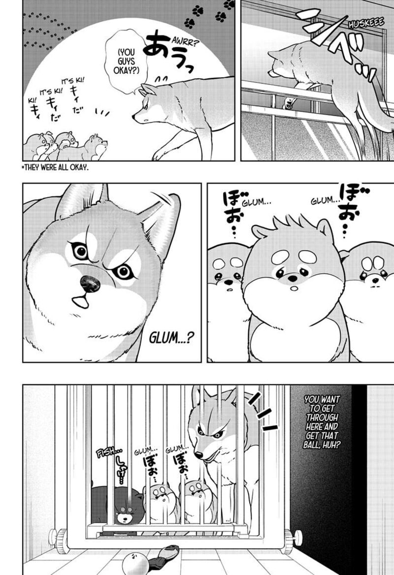 Shiba Tsuki Bukken 32 12