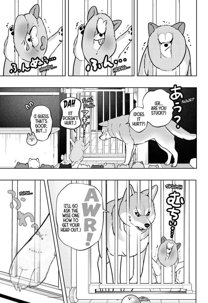 Shiba Tsuki Bukken 32 15