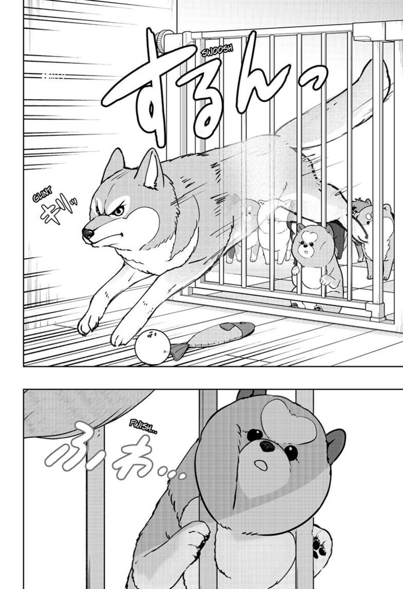 Shiba Tsuki Bukken 32 16