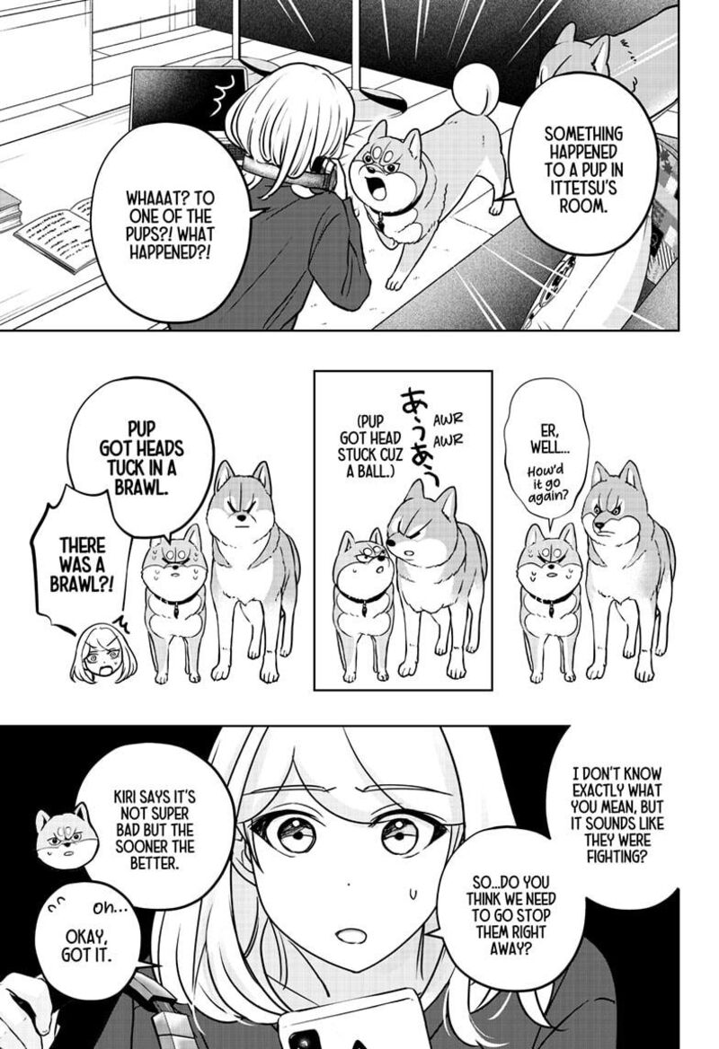 Shiba Tsuki Bukken 32 19