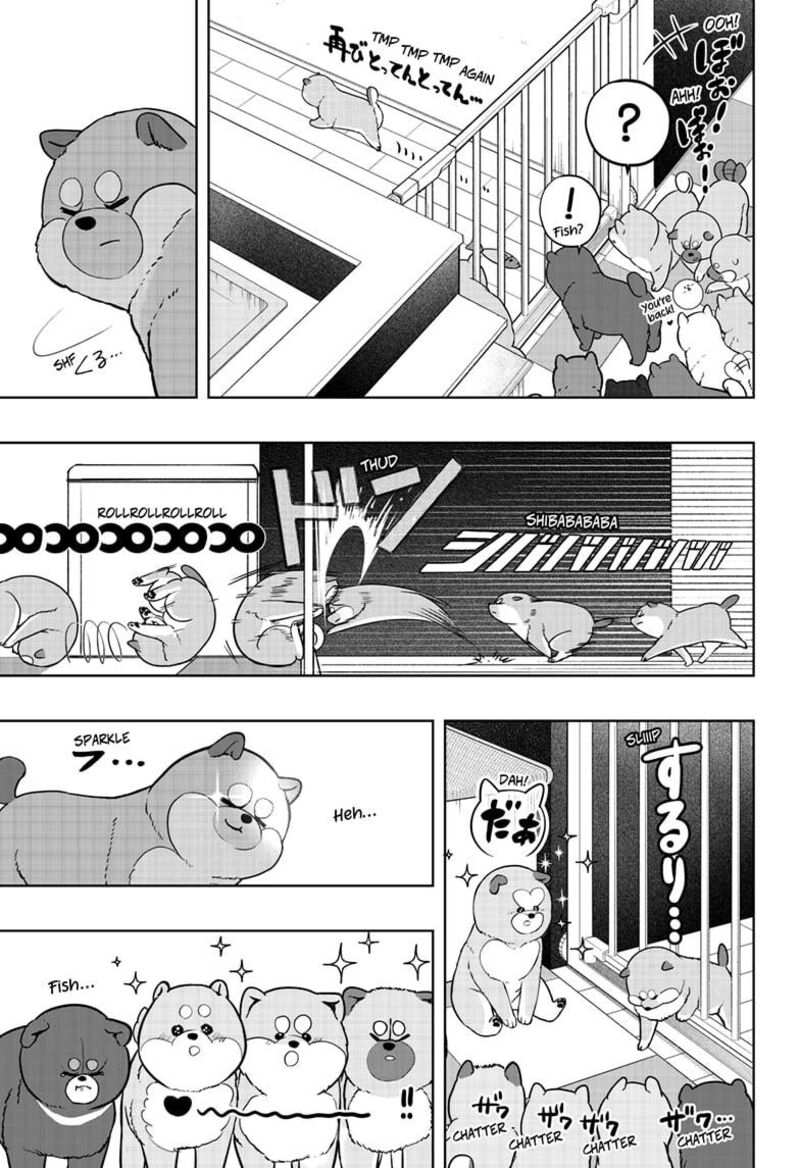 Shiba Tsuki Bukken 32 23