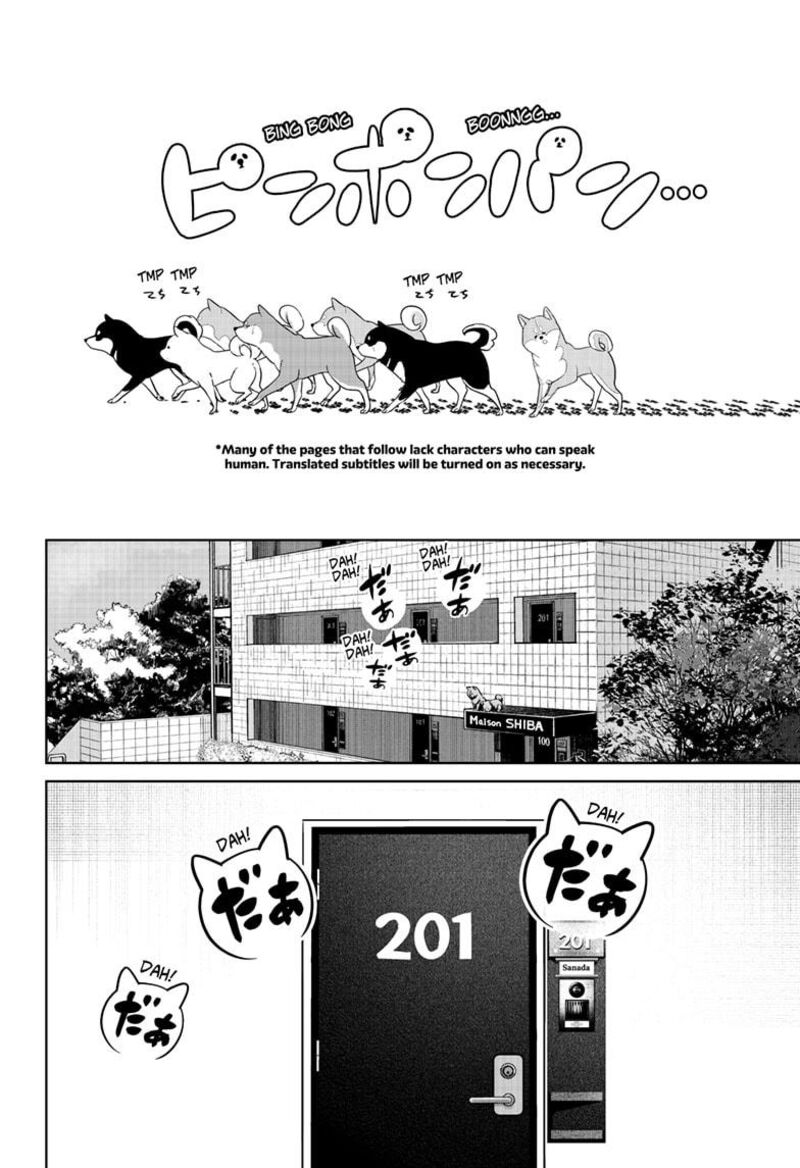Shiba Tsuki Bukken 32 4